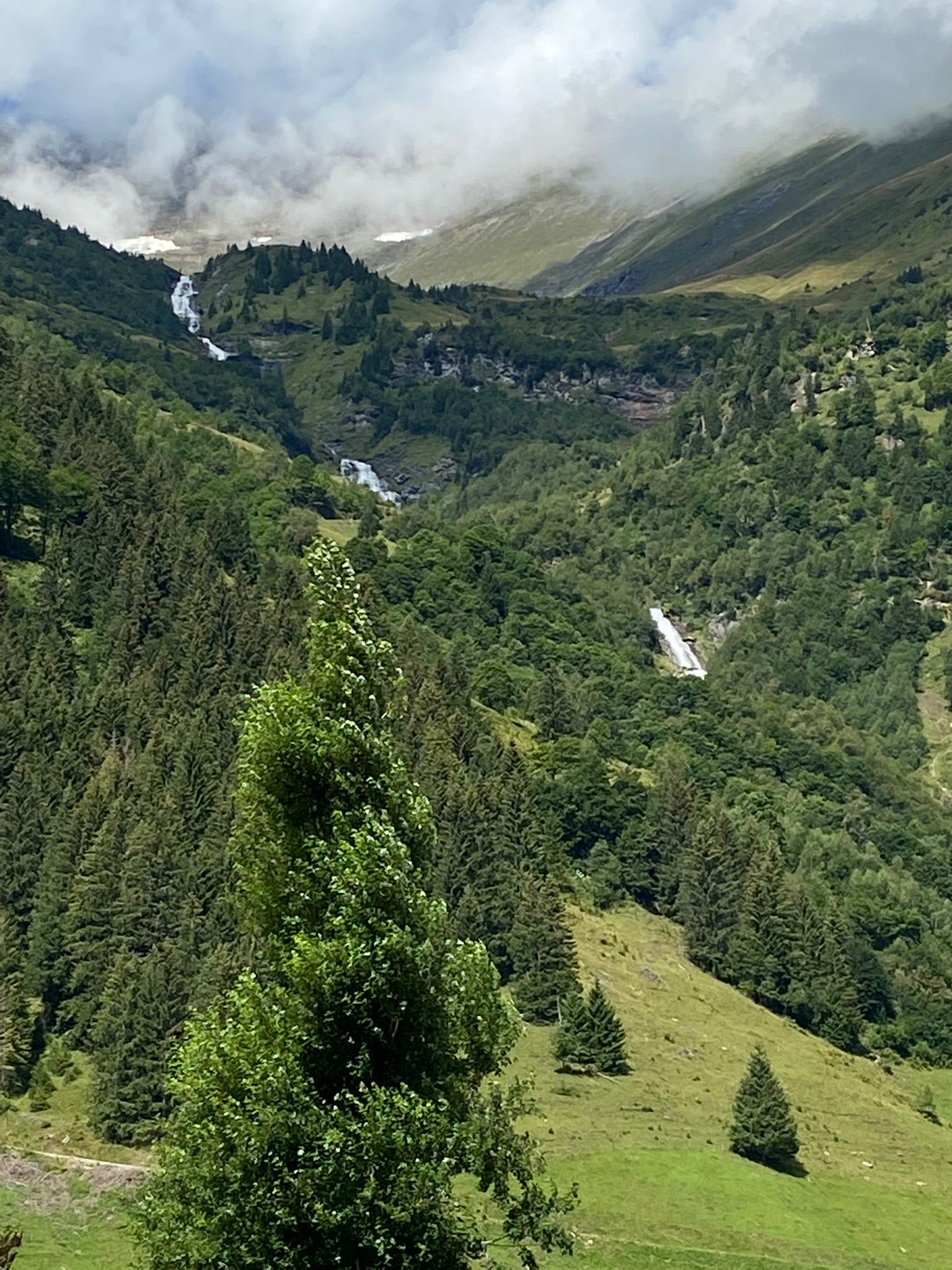 Supporting the Rally for Heroes | Elmdale Maintenance Ltd Supporting the Rally for Heroes | Elmdale Maintenance Ltd