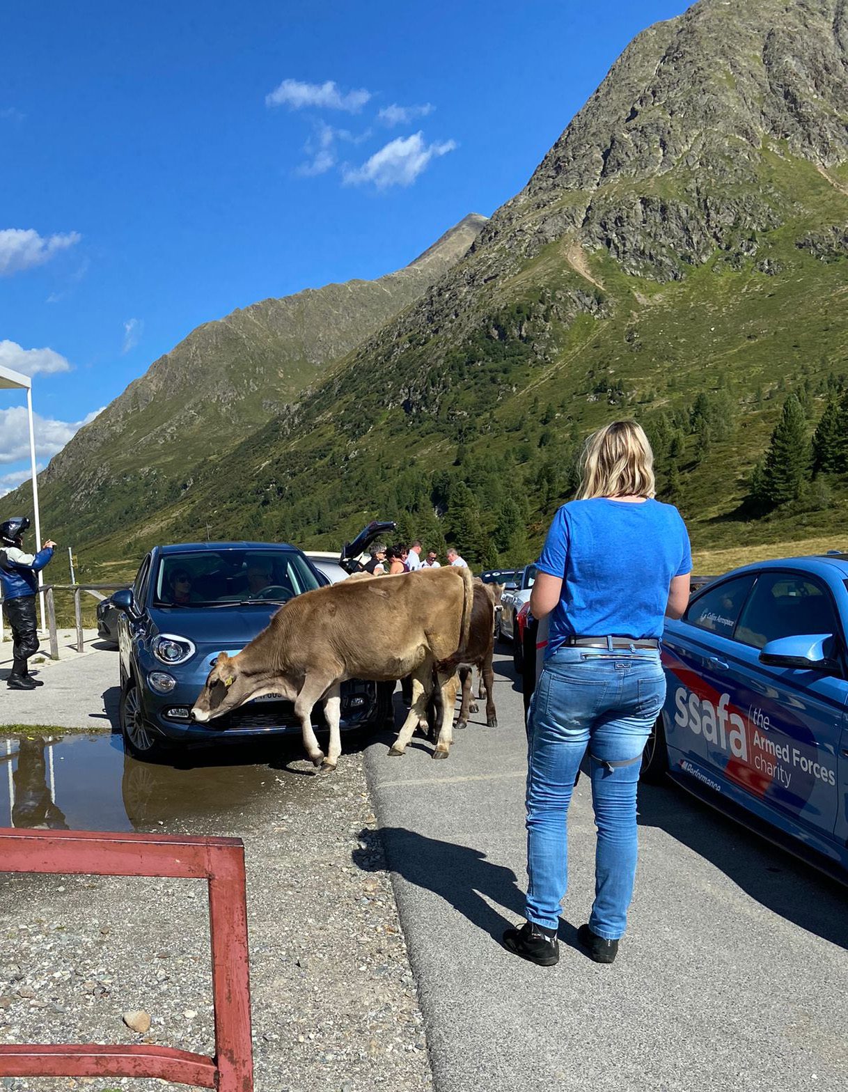 Supporting the Rally for Heroes | Elmdale Maintenance Ltd Supporting the Rally for Heroes | Elmdale Maintenance Ltd